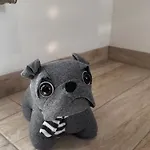 別荘 Rossbachtal Biberschlag