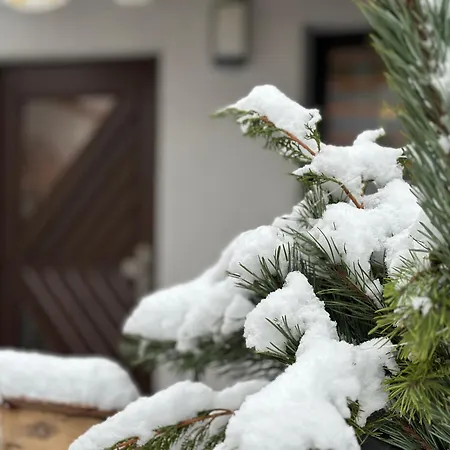 Ferienhaus Roßbachtal *